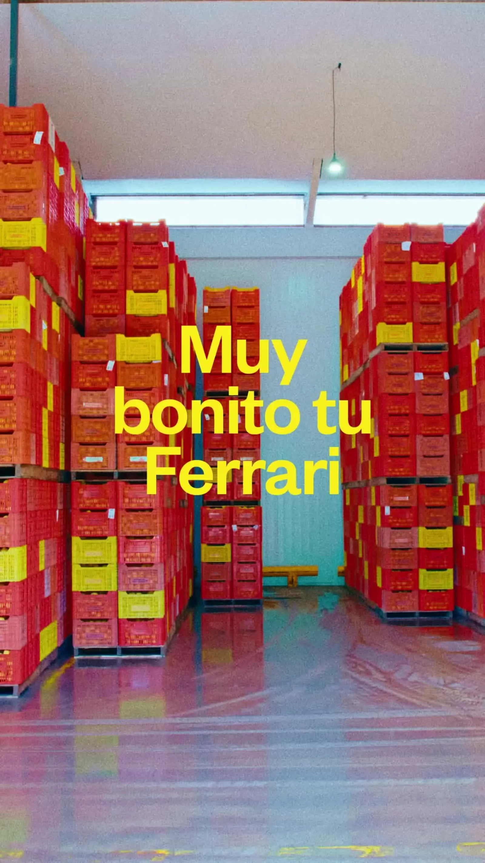 FERRARI